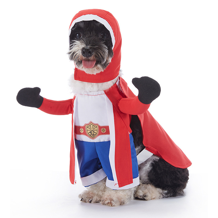 Pupkin Patch Halloween Outfits