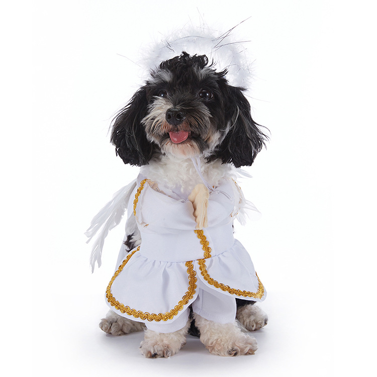 Pupkin Patch Halloween Outfits