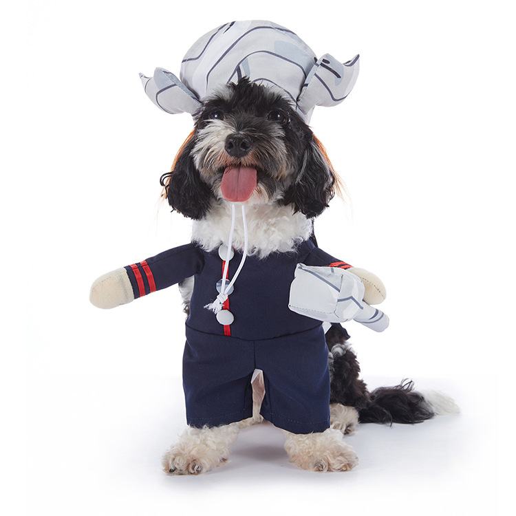 Pupkin Patch Halloween Outfits