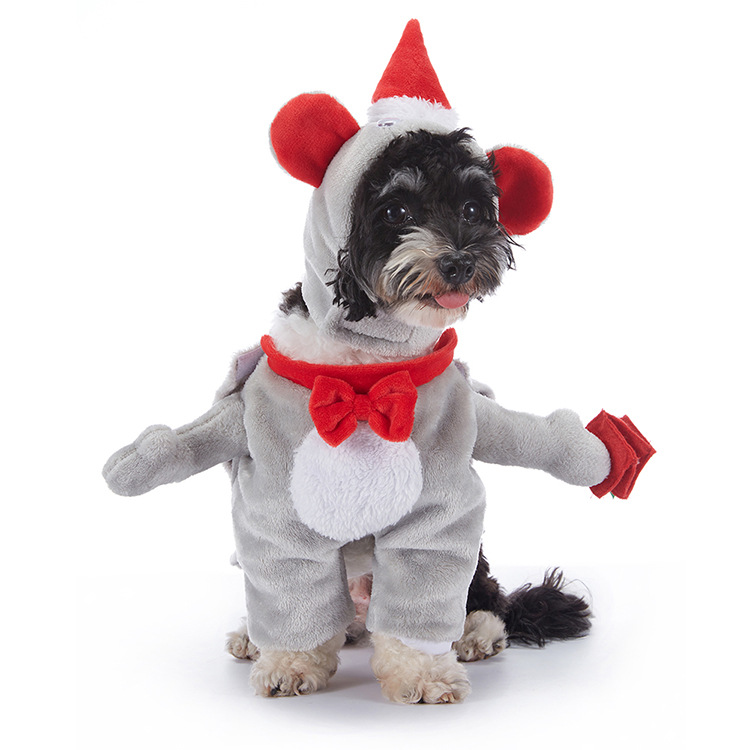 Pupkin Patch Halloween Outfits