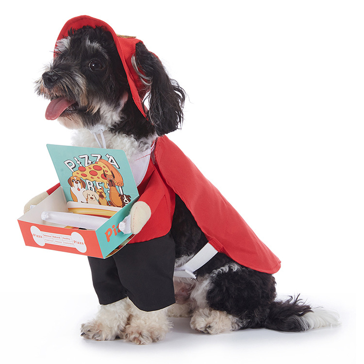 Pupkin Patch Halloween Outfits