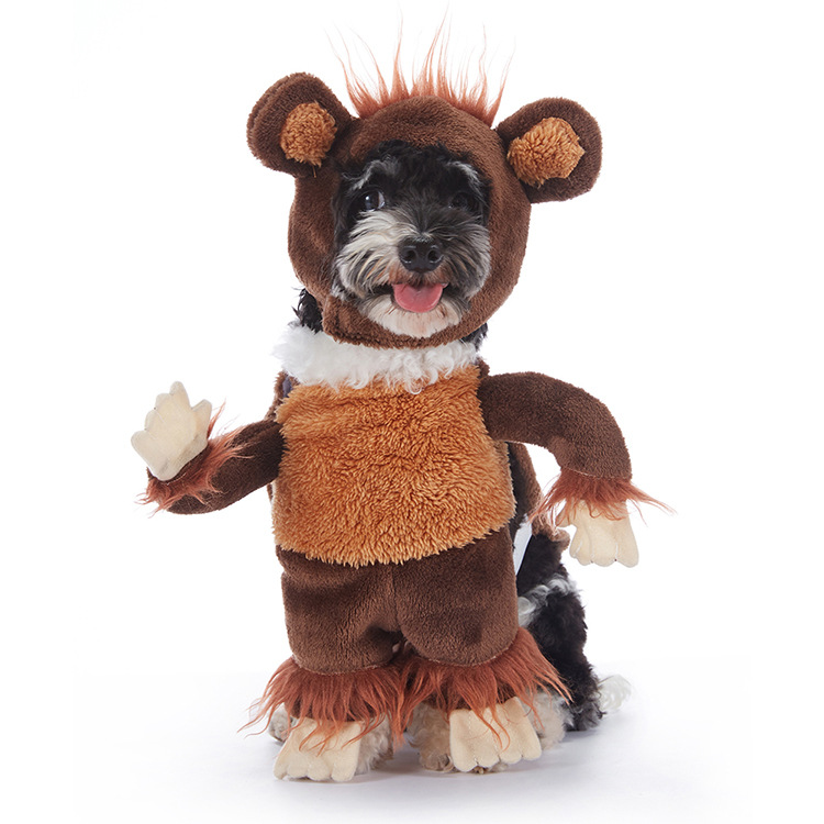 Pupkin Patch Halloween Outfits