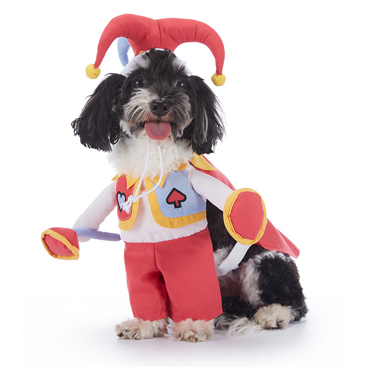 Pupkin Patch Halloween Outfits