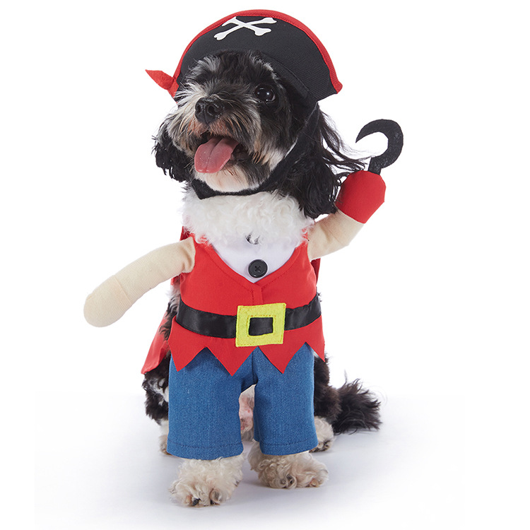Pupkin Patch Halloween Outfits