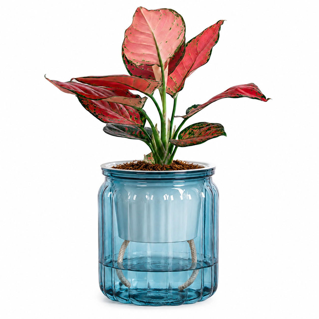 Elegant Self Watering Planter