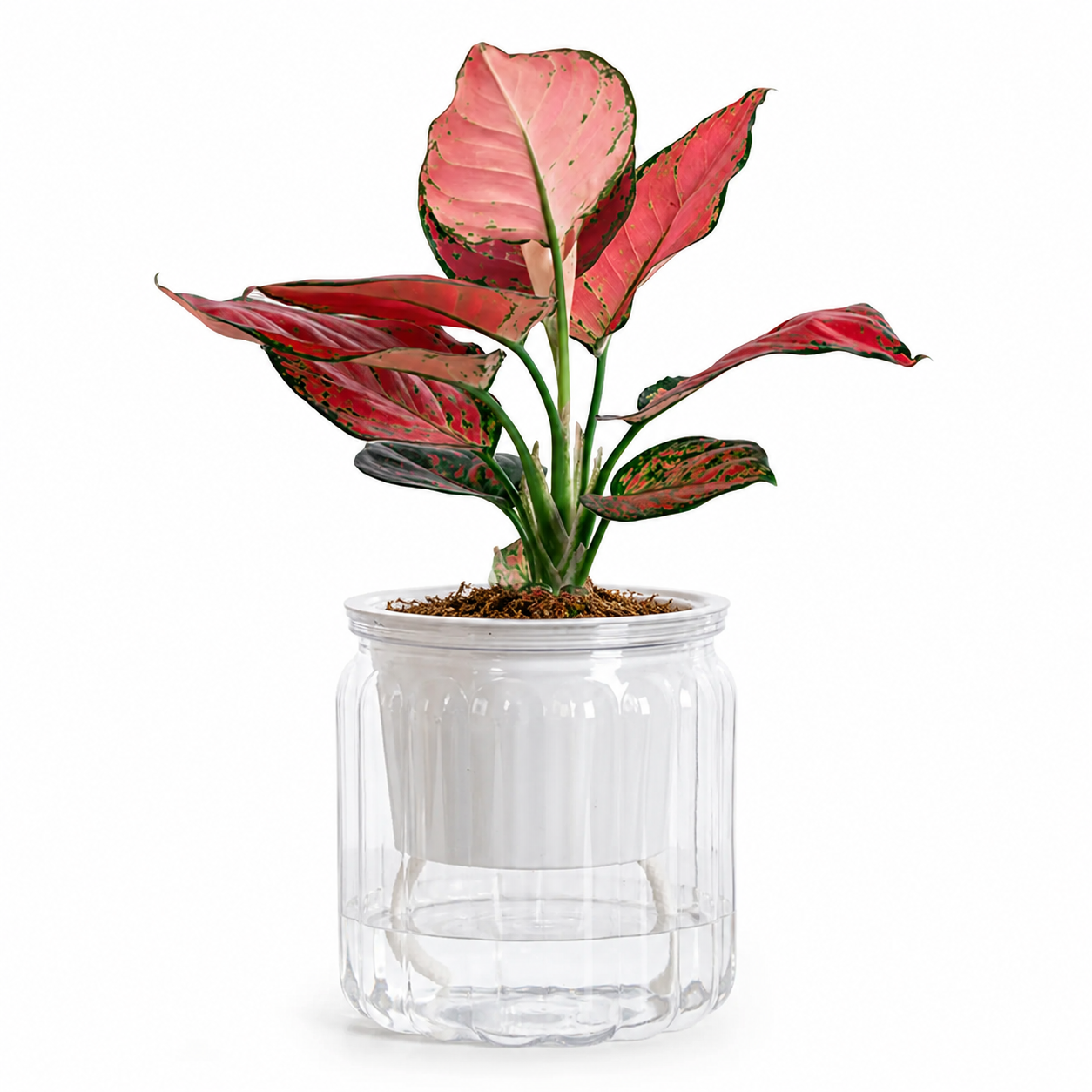 Elegant Self Watering Planter