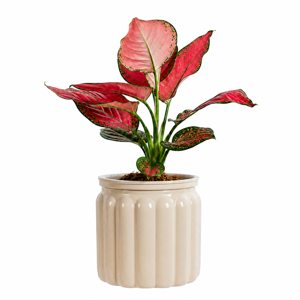 Elegant Self Watering Planter