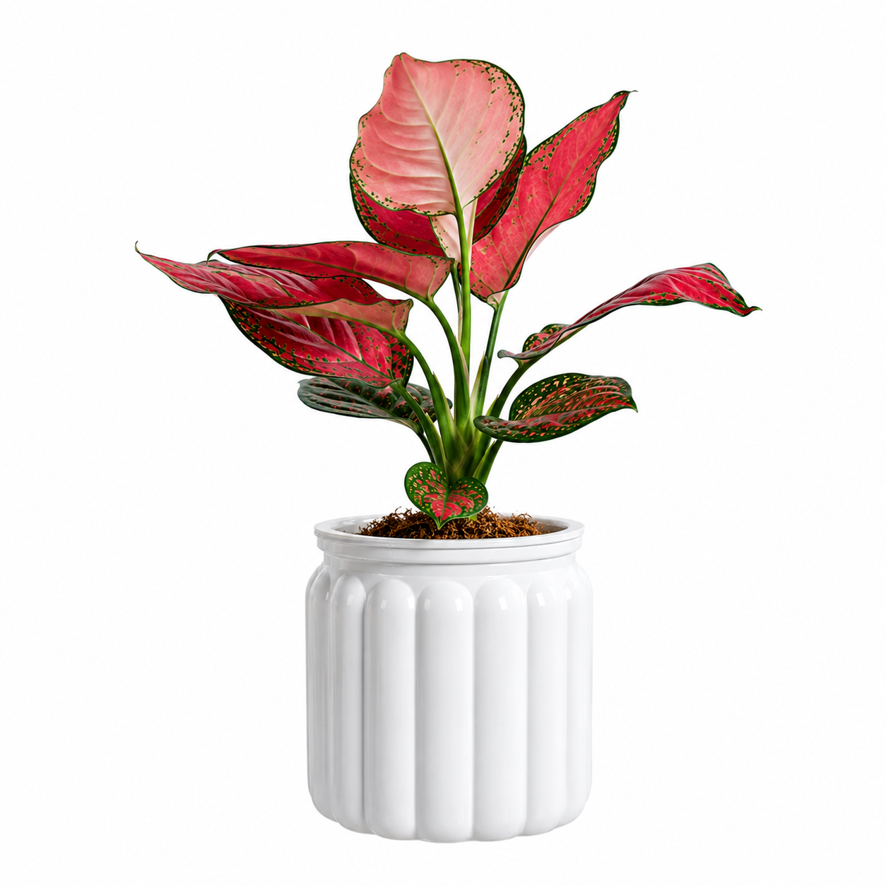 Elegant Self Watering Planter