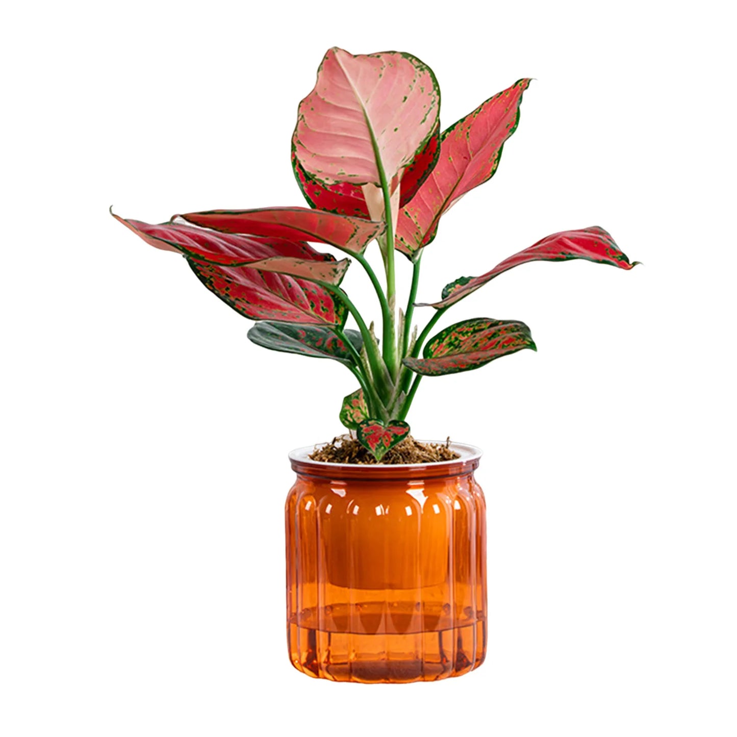 Elegant Self Watering Planter