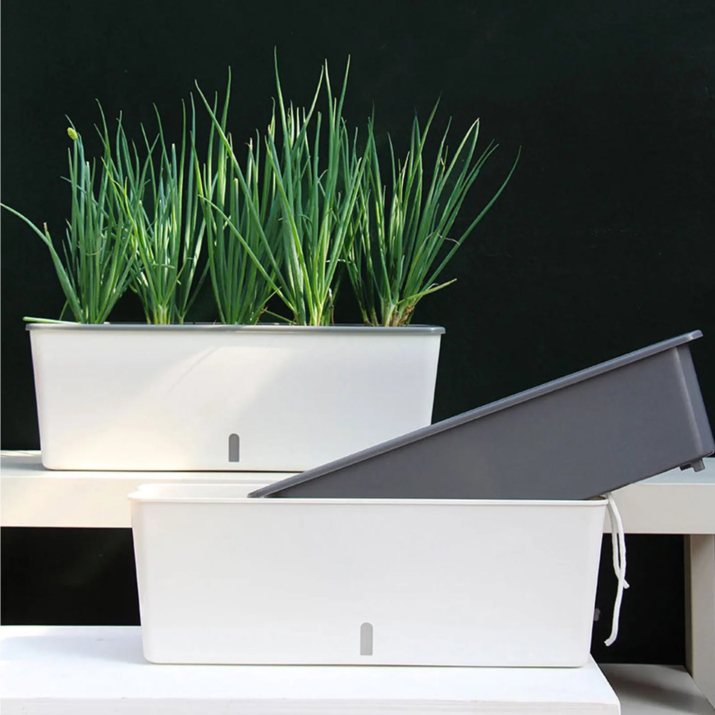 Self-Watering Planter Pots with Handy Water Level Indicator