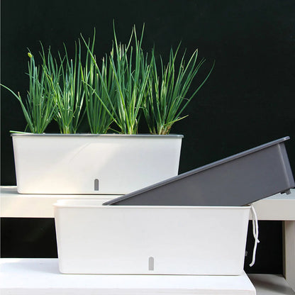 Self-Watering Planter Pots with Handy Water Level Indicator