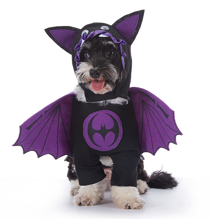 Pupkin Patch Halloween Outfits