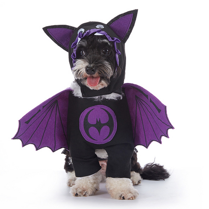 Pupkin Patch Halloween Outfits